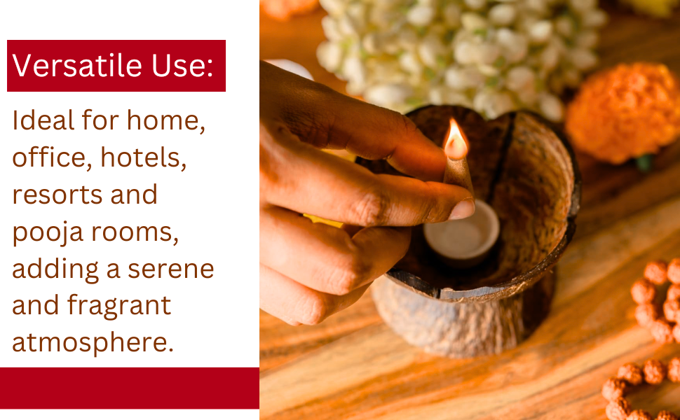 Coconut Shell Dhoop Batti Stand Wooden Incense Holder for Fragrance in Home Office & Pooja Rooms (Set of 1)